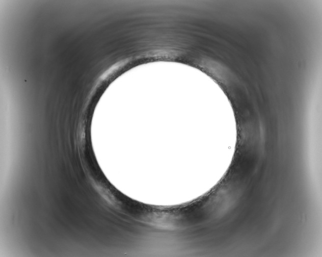 X0000085780632200704091412