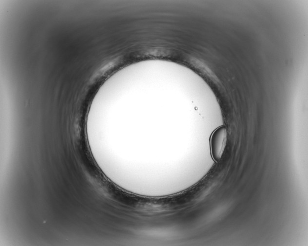 X0000085780635200704091412