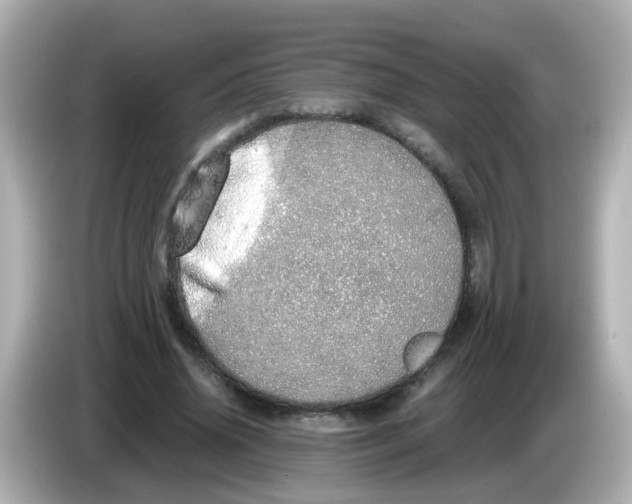 X0000085780636200704091412