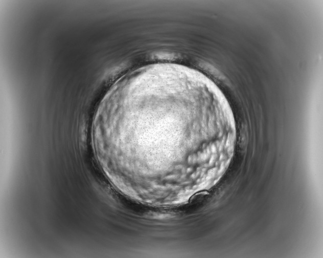 X0000085780639200704091412