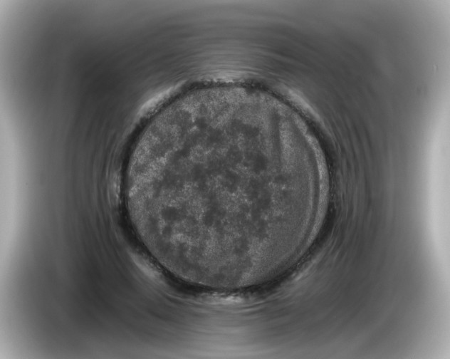 X0000085780640200704091412