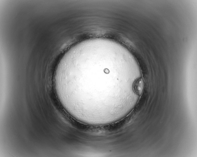 X0000085780642200704091412