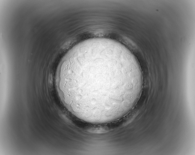 X0000085780646200704091412