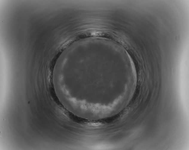 X0000085780650200704091412