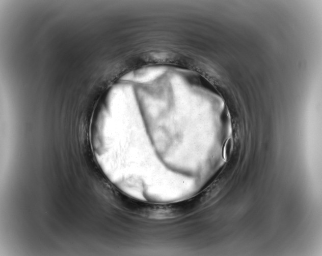 X0000085780651200704091412