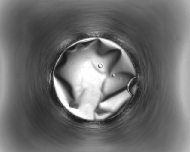 X0000085780652200704091412