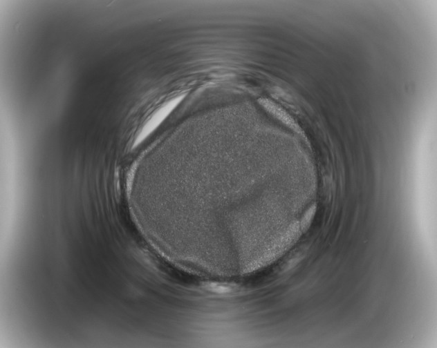 X0000085780654200704091413