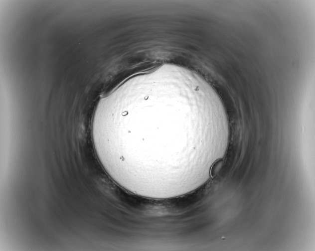 X0000085780655200704091413