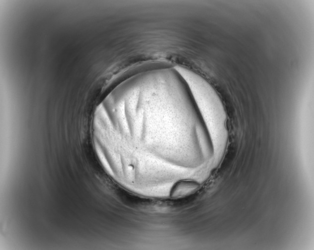 X0000085780656200704091413