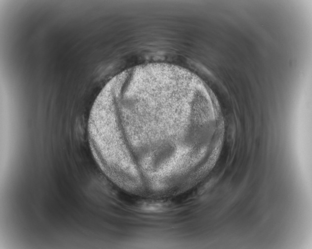 X0000085780661200704091413