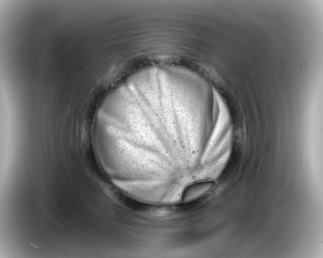 X0000085780662200704091413