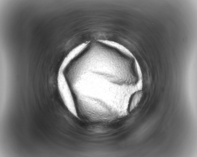 X0000085780663200704091413