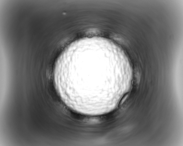 X0000085780665200704091413