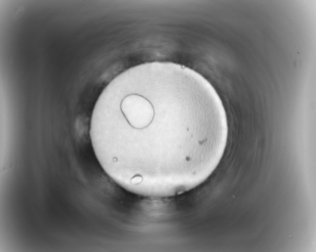 X0000085780672200704091413