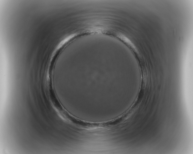 X0000085780674200704091412