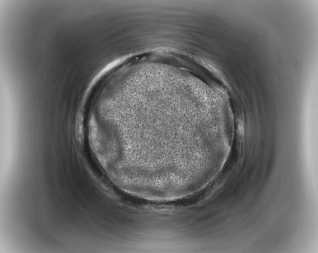 X0000085780676200704091412