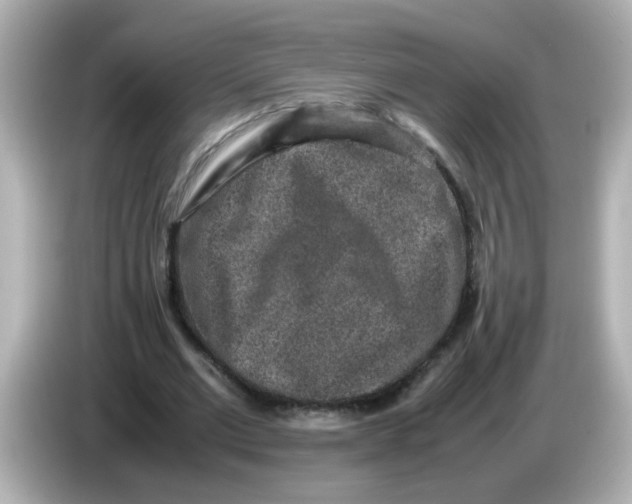 X0000085780677200704091412