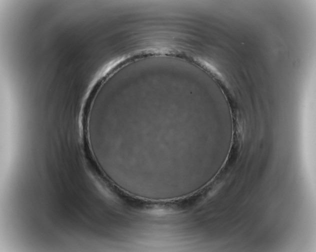 X0000085780678200704091412