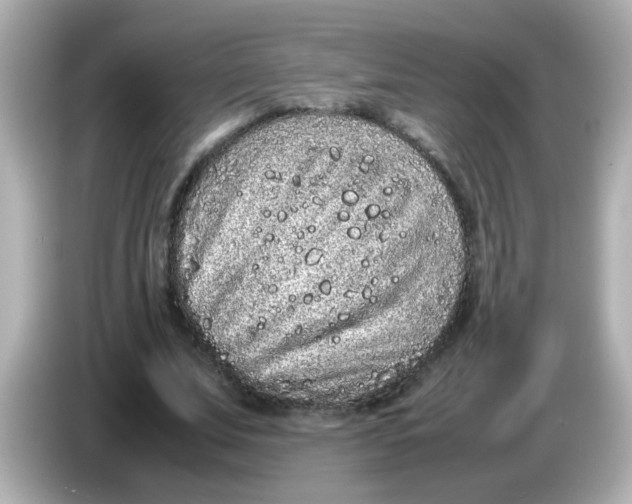 X0000085780679200704091412