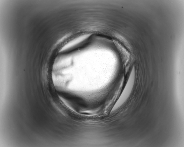 X0000085780680200704091412