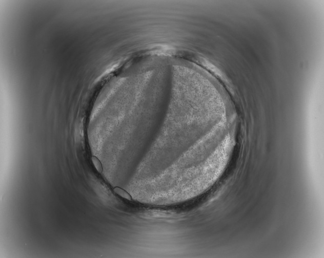 X0000085780681200704091412