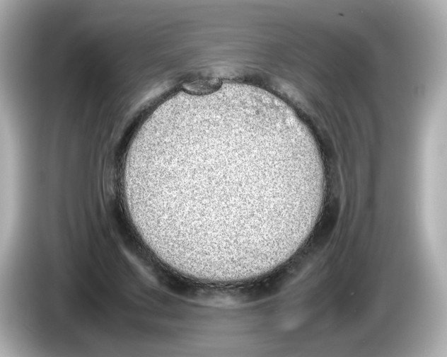 X0000085780683200704091412