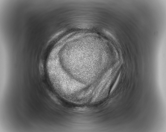 X0000085780688200704091412