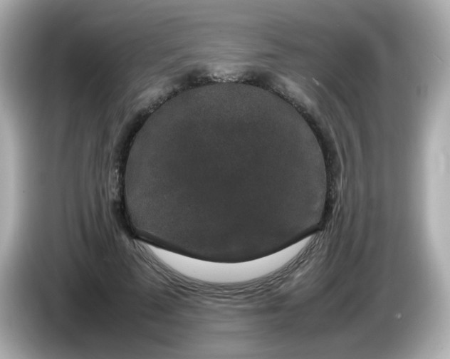 X0000085780689200704091412