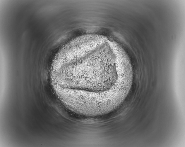 X0000085780691200704091412