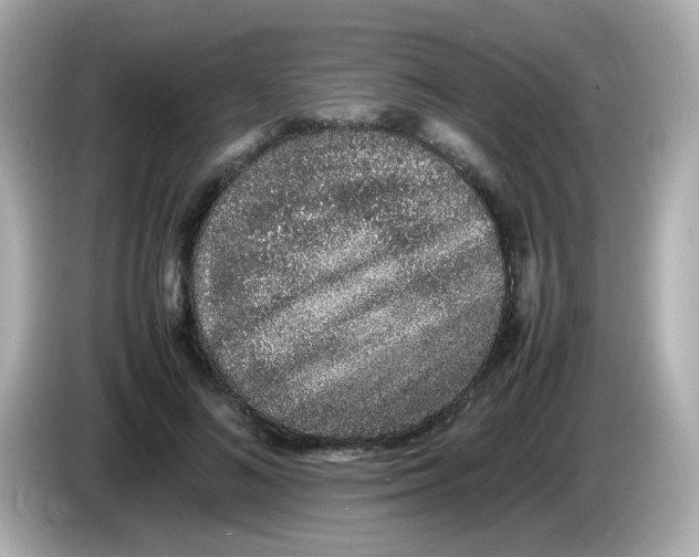 X0000085780692200704091412