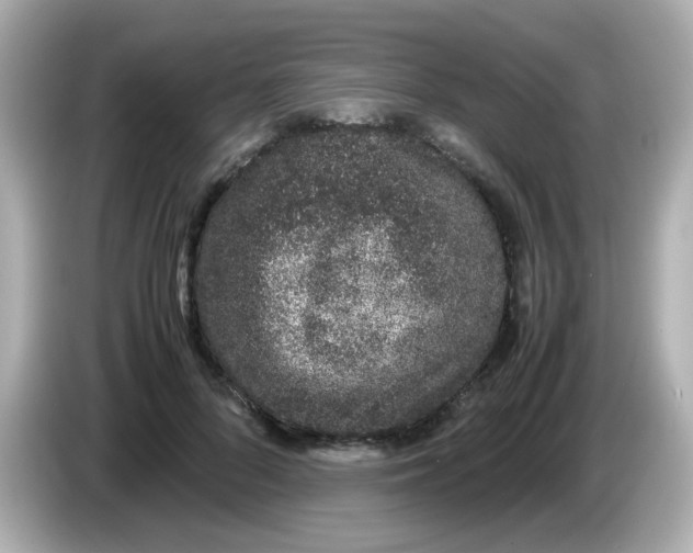 X0000085780696200704091412