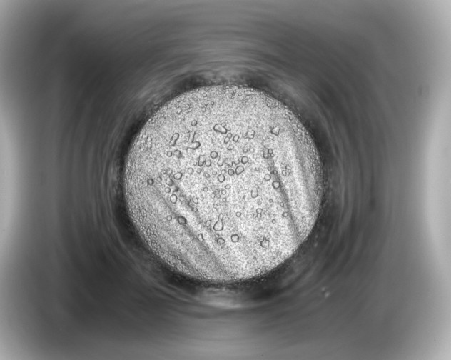 X0000085780699200704091412