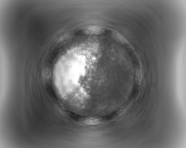 X0000085780701200704091412