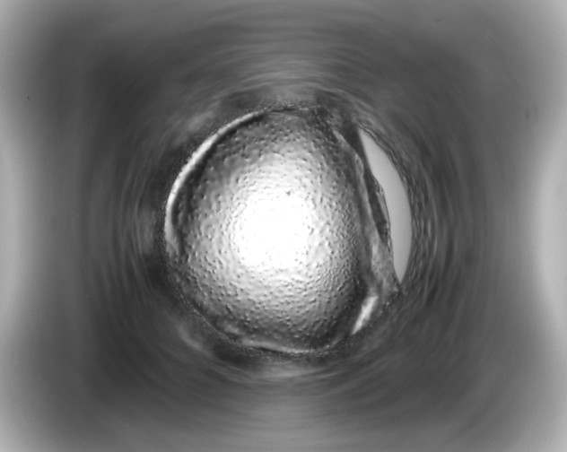 X0000085780704200704091412