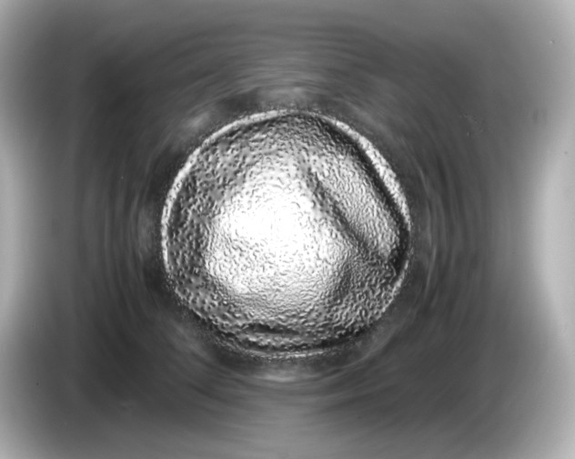 X0000085780708200704091412