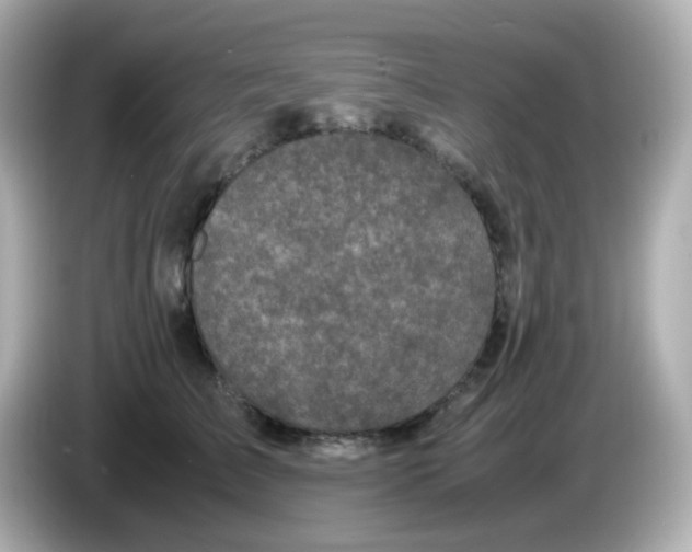 X0000085780709200704091412