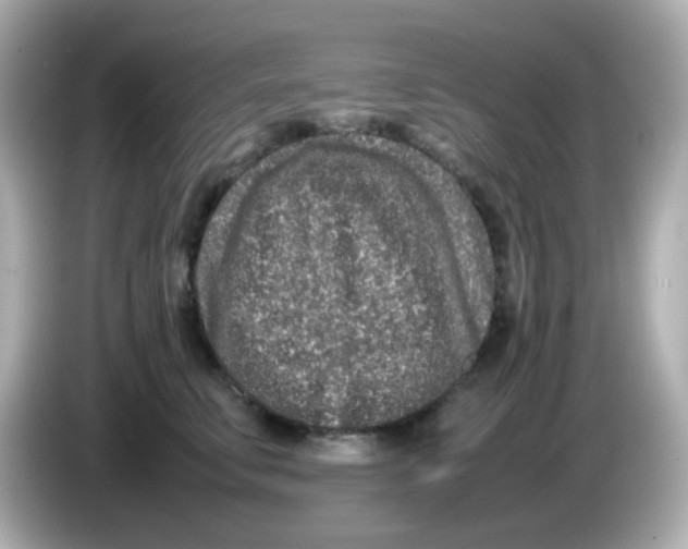 X0000085780711200704091412