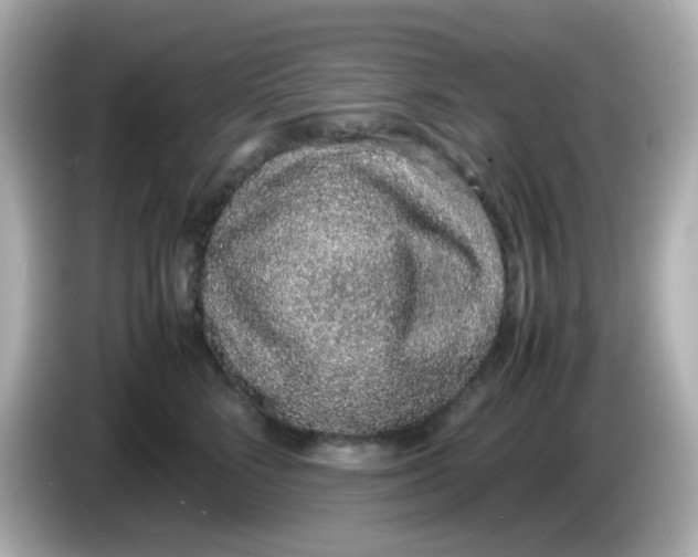 X0000085780712200704091412