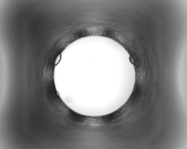 X0000085780713200704091412