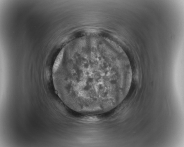 X0000085780715200704091412