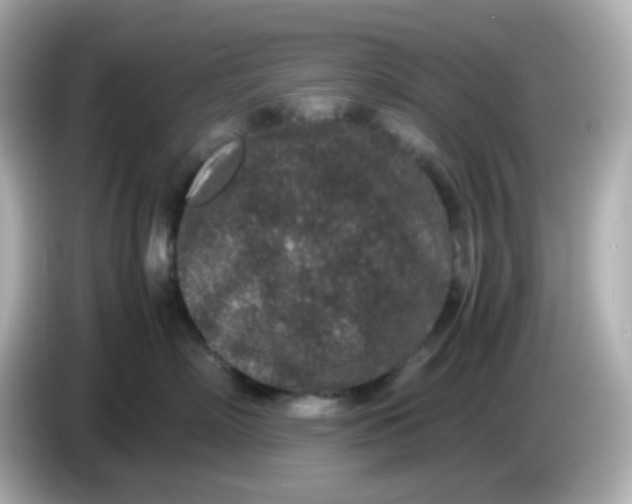 X0000085780718200704091412