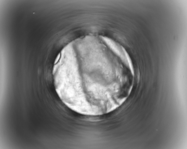 X0000085780719200704091412