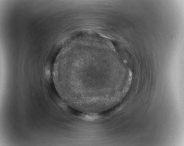 X0000085780720200704091412