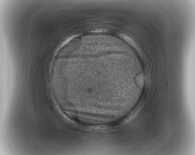 X0000085780721200704091411