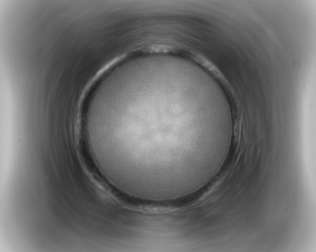 X0000085780722200704091411