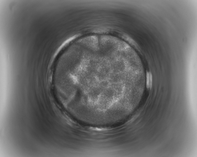 X0000085780723200704091411