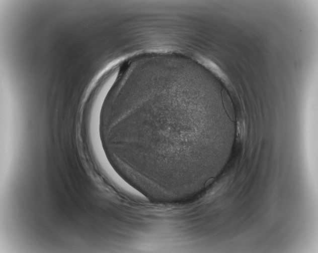 X0000085780724200704091411