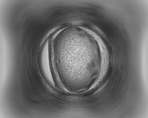 X0000085780725200704091411