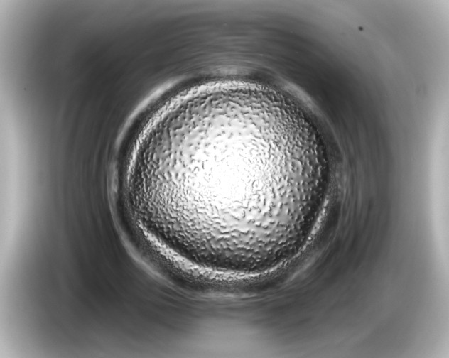 X0000085780726200704091411