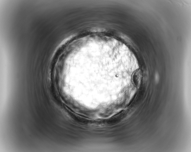 X0000085780727200704091411